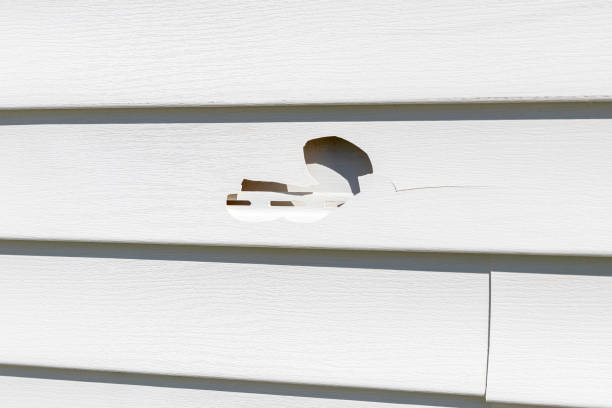 Best Custom Trim and Detailing for Siding  in Port Arthur, TX